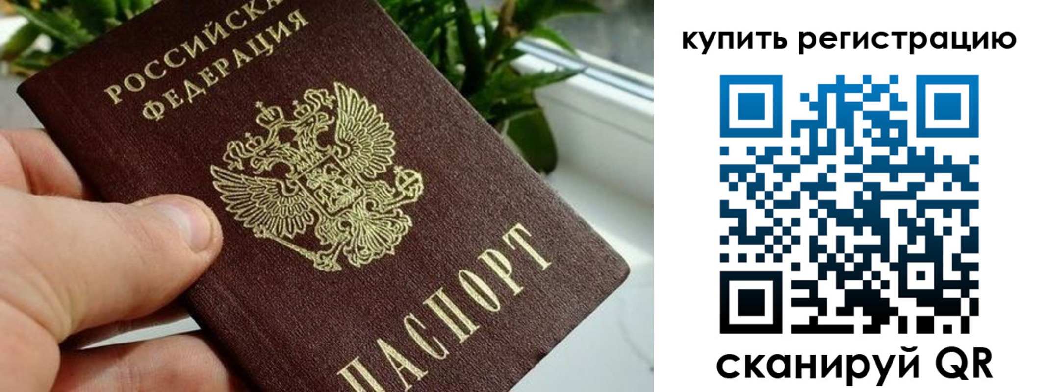 прописка гарантия в Буйнакске